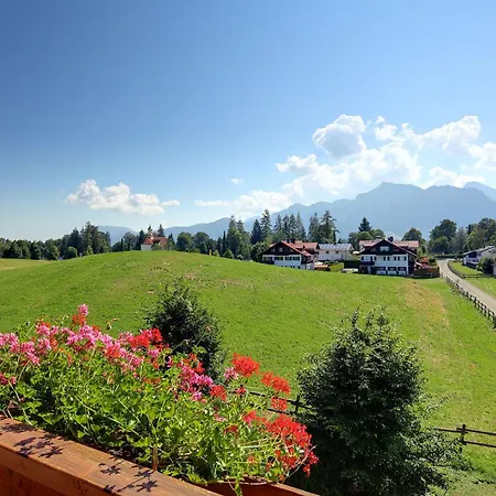 Lantställe Allgaeumax