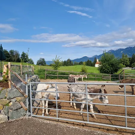 Allgaeumax * Füssen