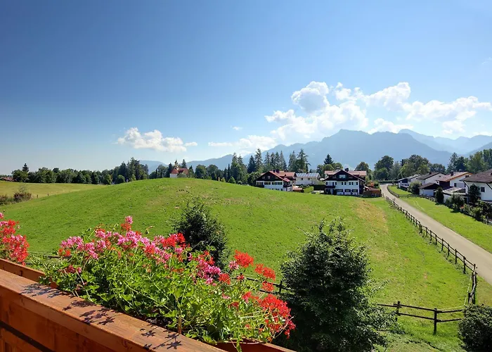 Lantställe Allgaeumax